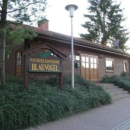 Ferienhaus Nr 32, Typ A, Ferienanlage Blauvogel, Hasselfelde, Harz ภายนอก รูปภาพ